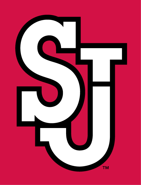 St. John's Red Storm 2007-Pres Alternate Logo diy DTF decal sticker...